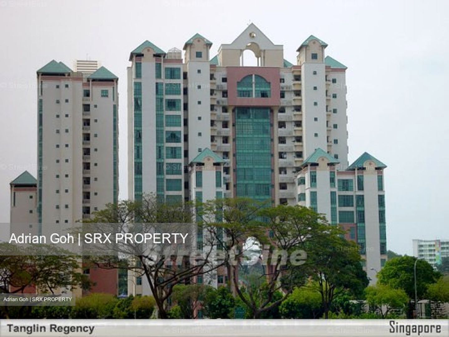 Tanglin Regency (D10), Condominium #408179681